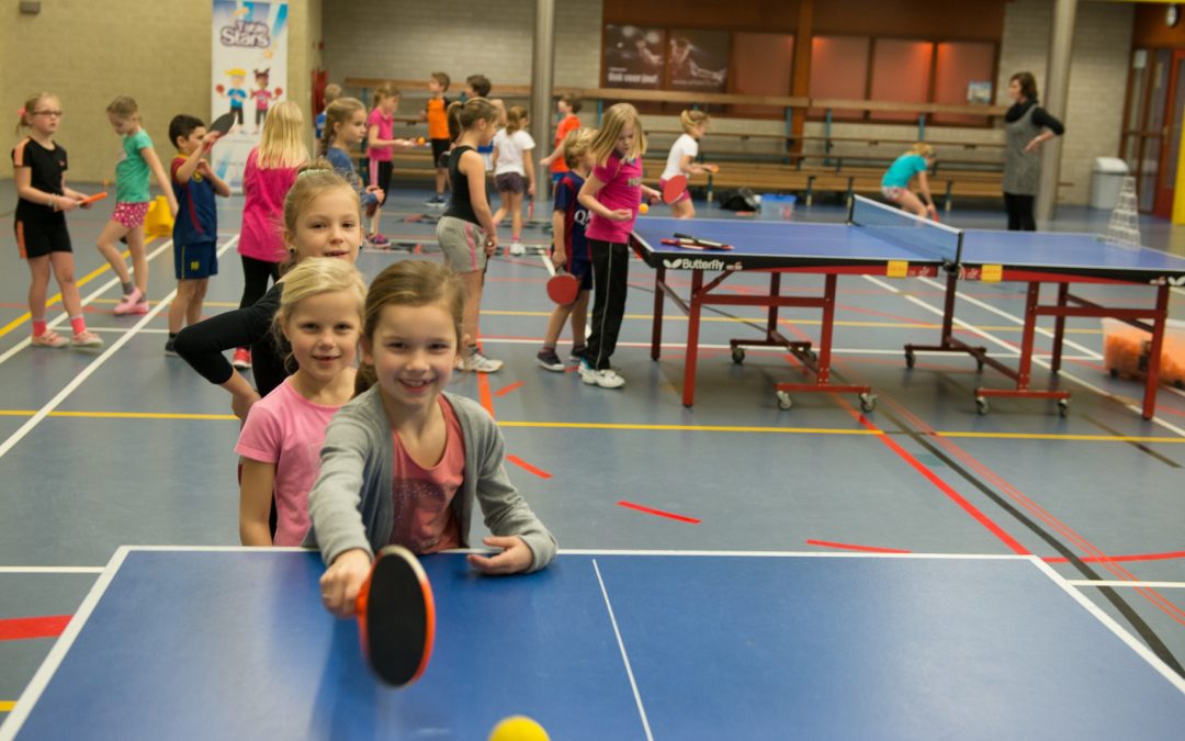 Subsidie Table Stars Clinic XL MJ Tafeltennis