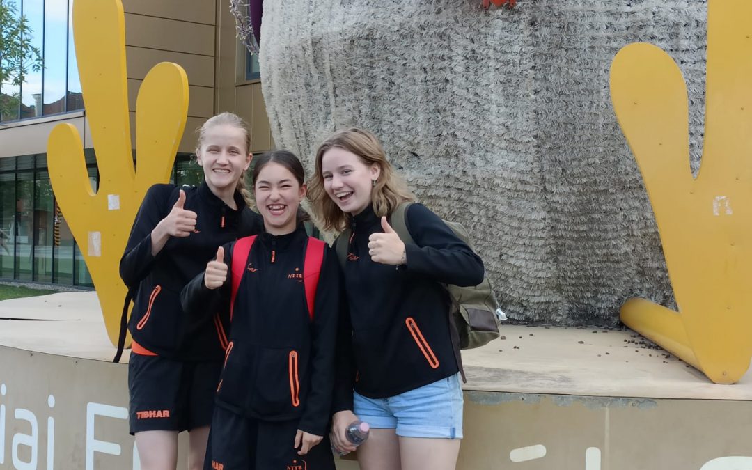 Internationale ervaring in Hongarije