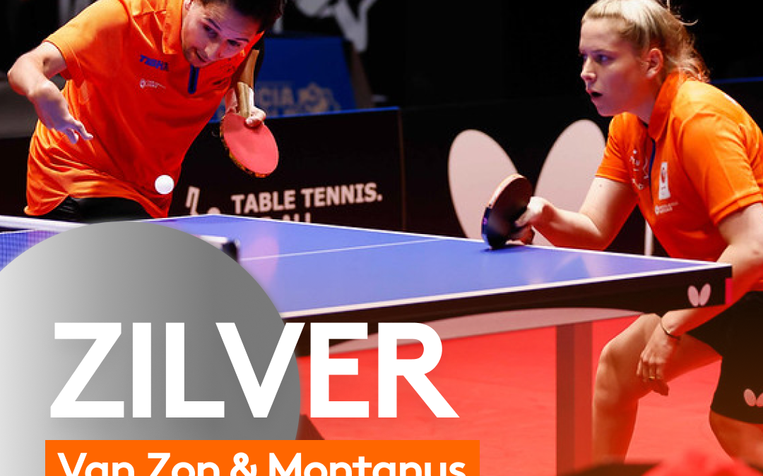 EK Para: ook zilver mixed dubbel