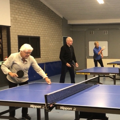Good Practice | Succesvolle Workshops voor Senioren