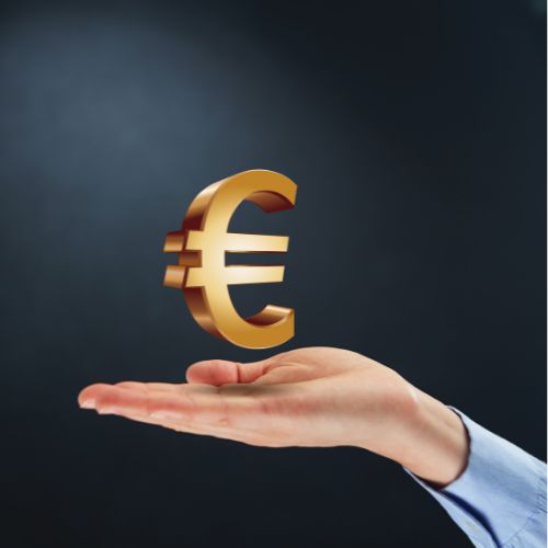 Contributie 2025